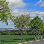 Der Durchblick ins Dresdner Zentrum mit dem Rathausturm