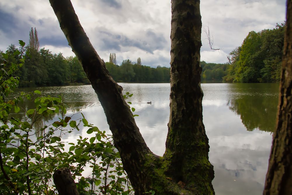 Der Durchblick zum Bensberger See II Foto & Bild landschaft, bach