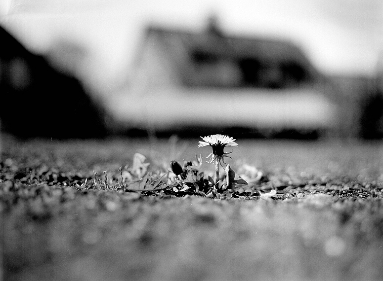 Der Durchbruch. Endlich Frühling vor der Haustür