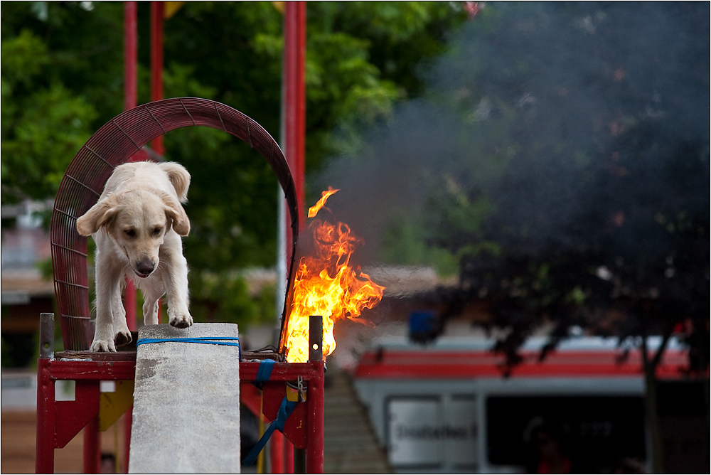 Der durchs Feuer geht (reloaded)