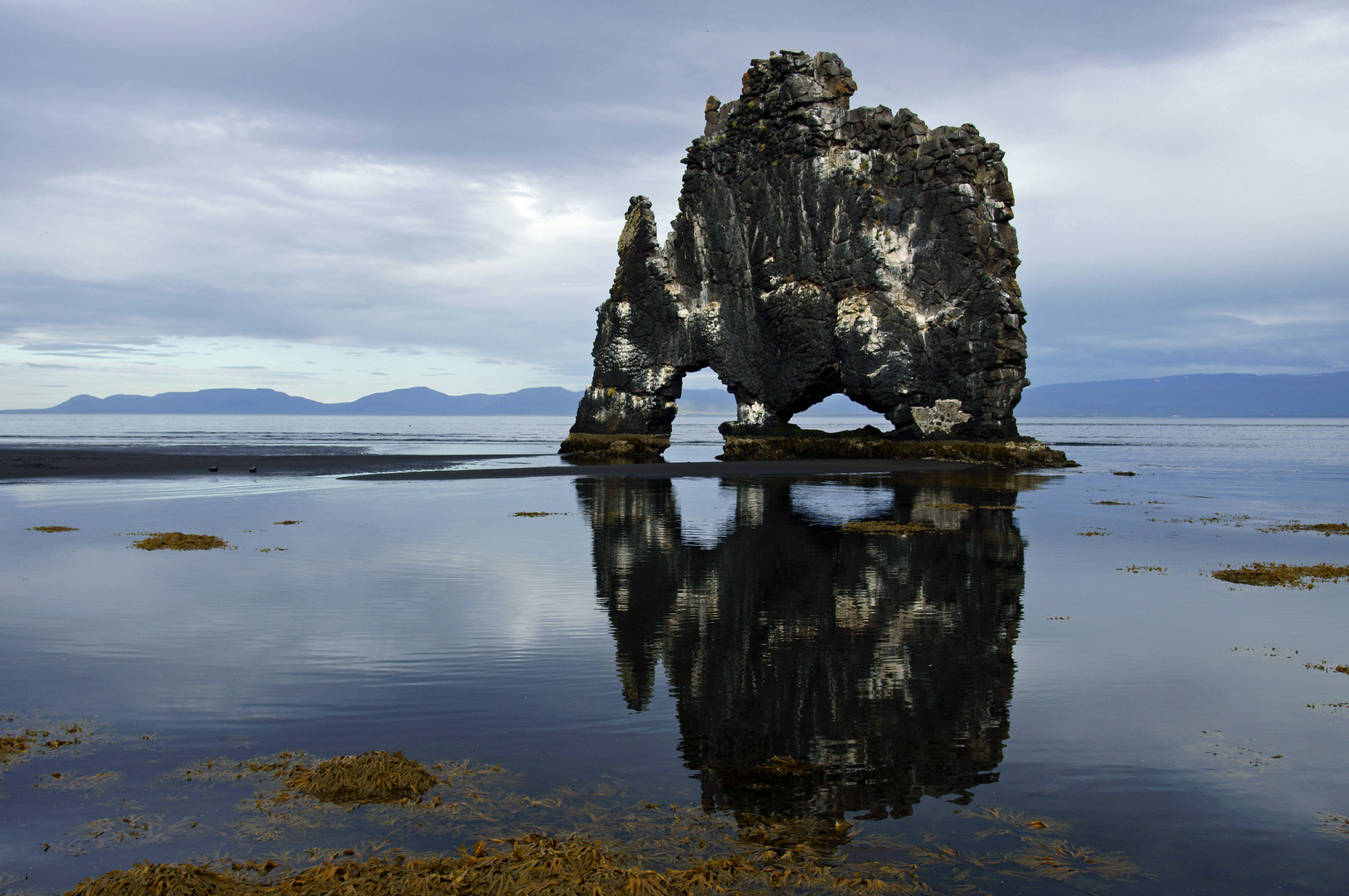 Der durstige Dino im Húnafjörður