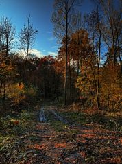 Der echte Herbst!