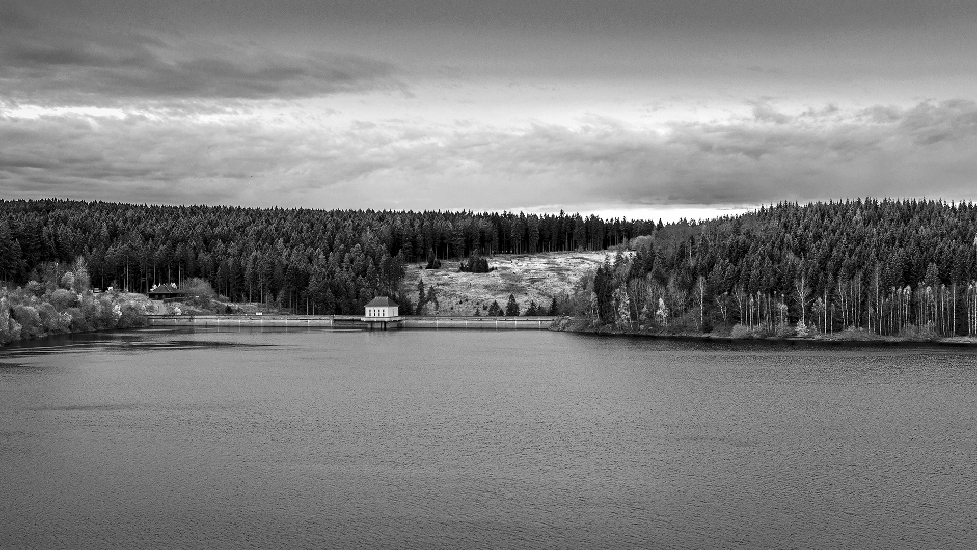 Der Eckerstausee im Harz