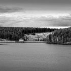 Der Eckerstausee im Harz