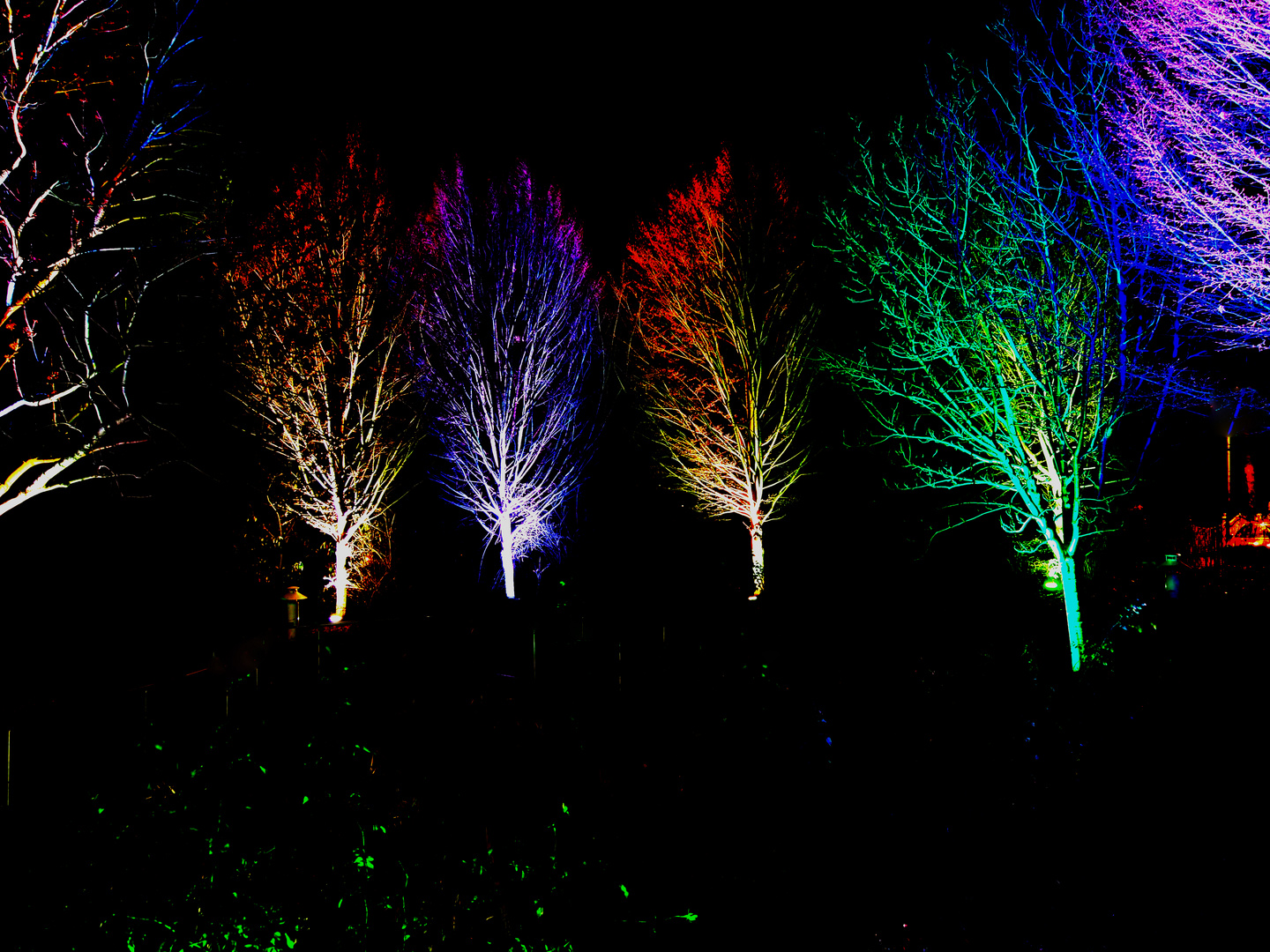 Der EGA Park Erfurt bei Nacht