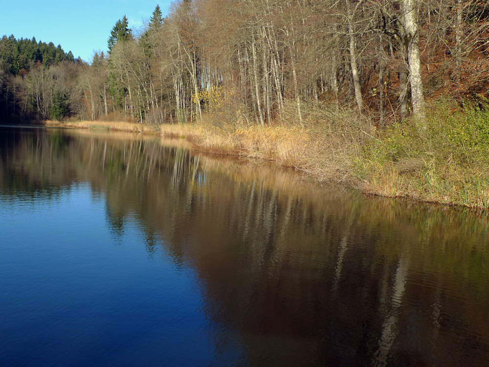 Der Egelsee