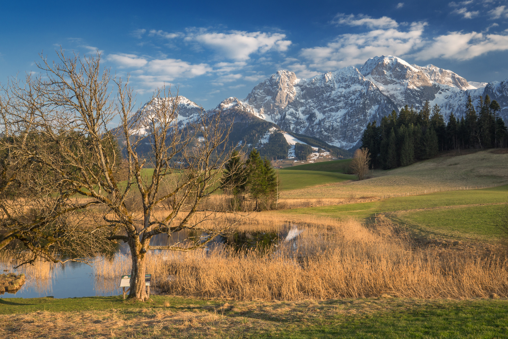 Der Egelsee im Abendlicht