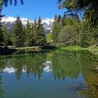 der Egg-Weiher 2