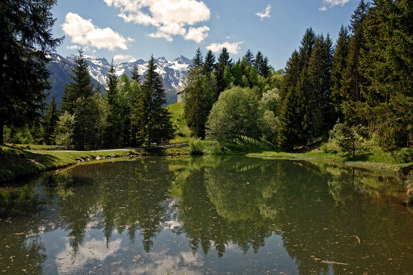 der Eggweiher auf ca 1200m