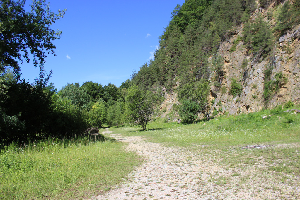  Der ehem. Steinbruch Hauenstein.