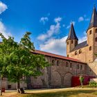 Der ehemalige Baum vor der Klosterkirche 