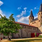 Der ehemalige Baum vor der Klosterkirche 