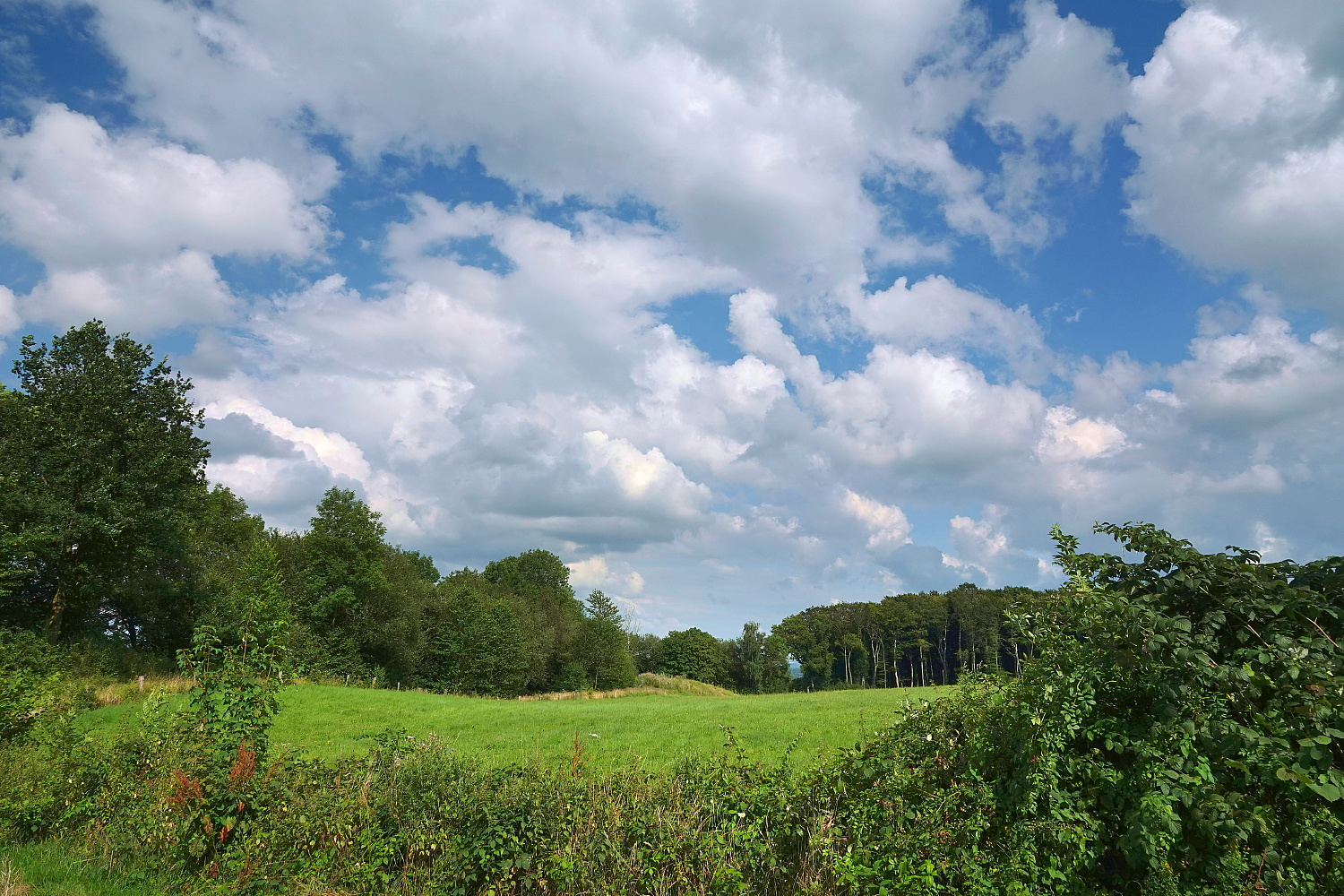 Der ehemalige Steinbruch