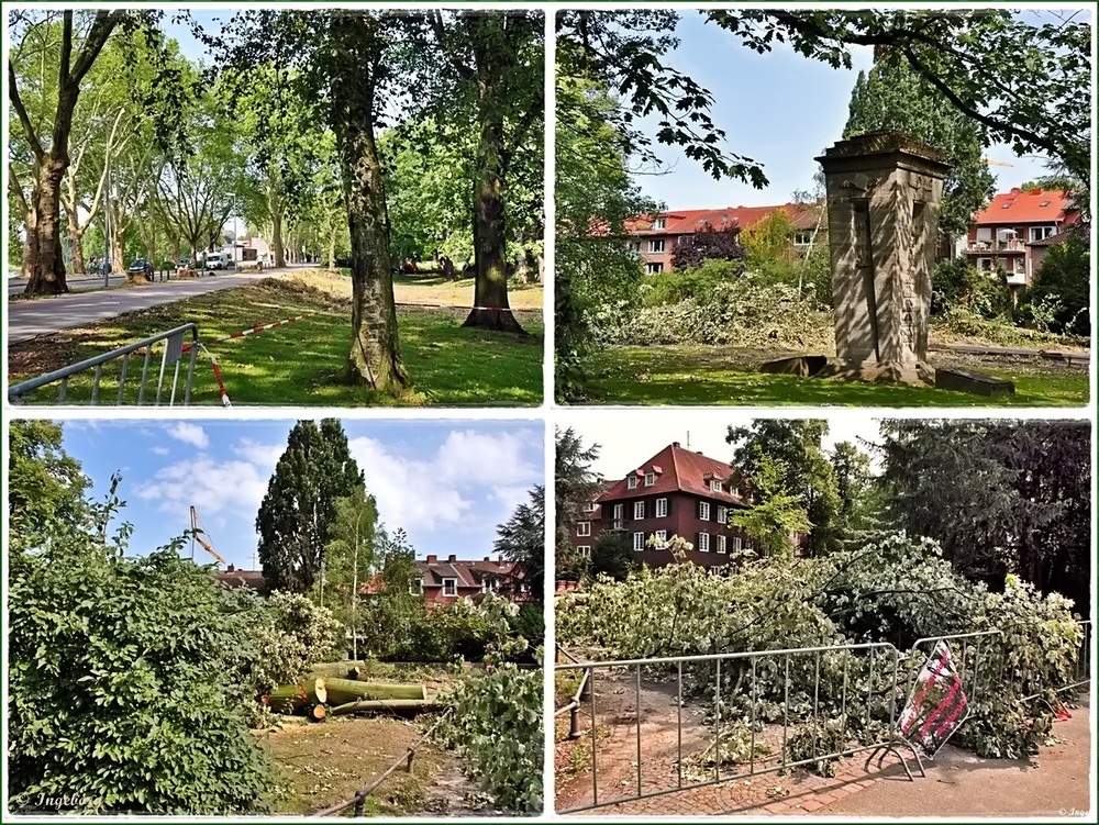 Der ehemals geschlossene Lindenkranz