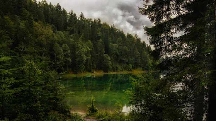 ...der Eibsee im Herbst...