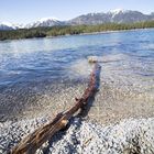  Der Eibsee im Sommer