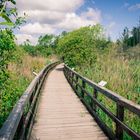 Der 'Eichwerder Steg'