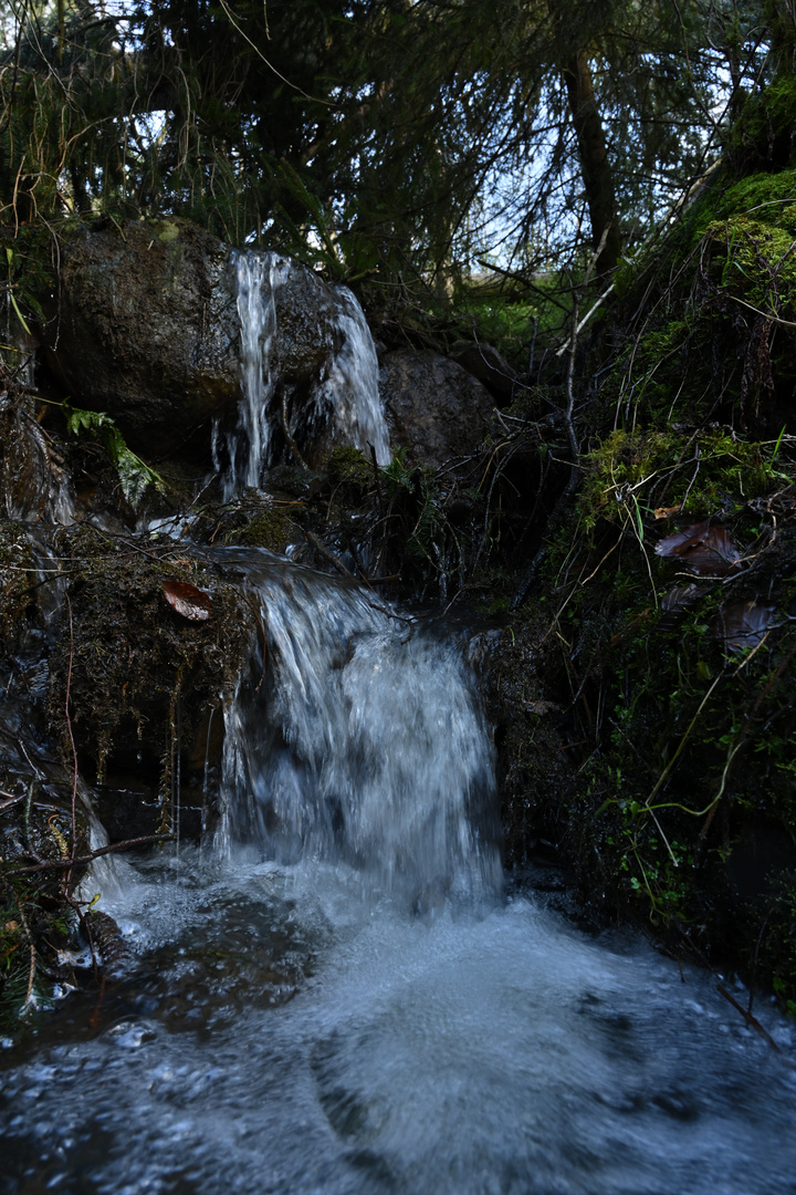 Der Eifelbach