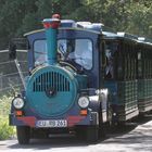 der "eifelzug" - vollbesetzt fährt durch den nationalpark.