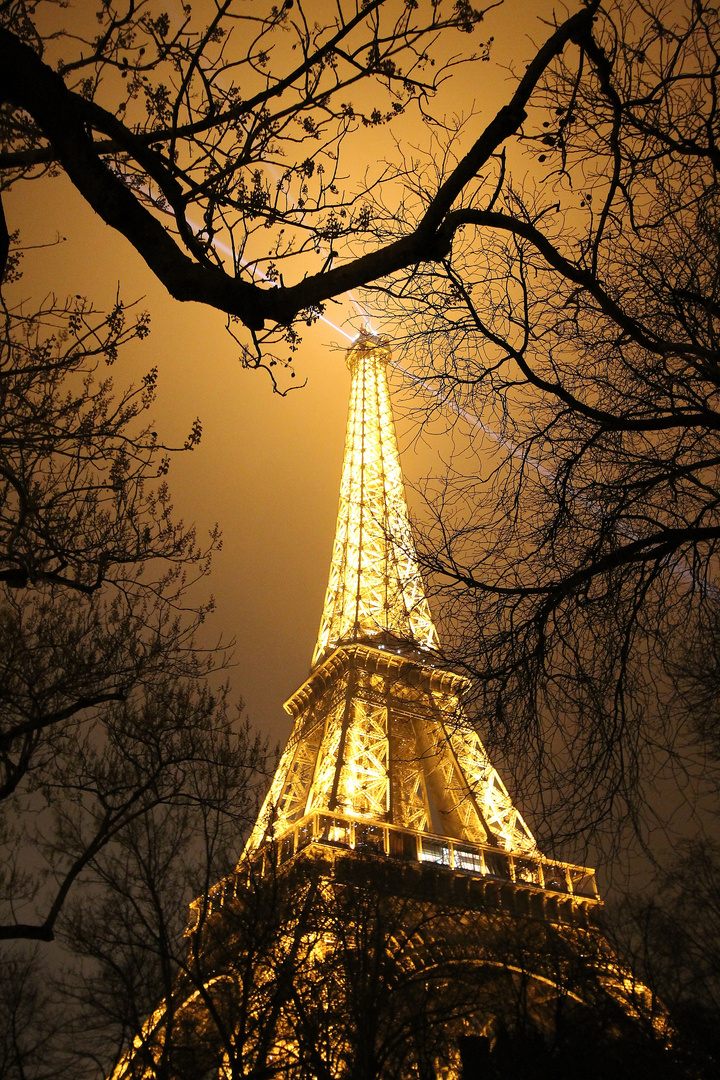 Der Eiffelturm in einer Januarnacht