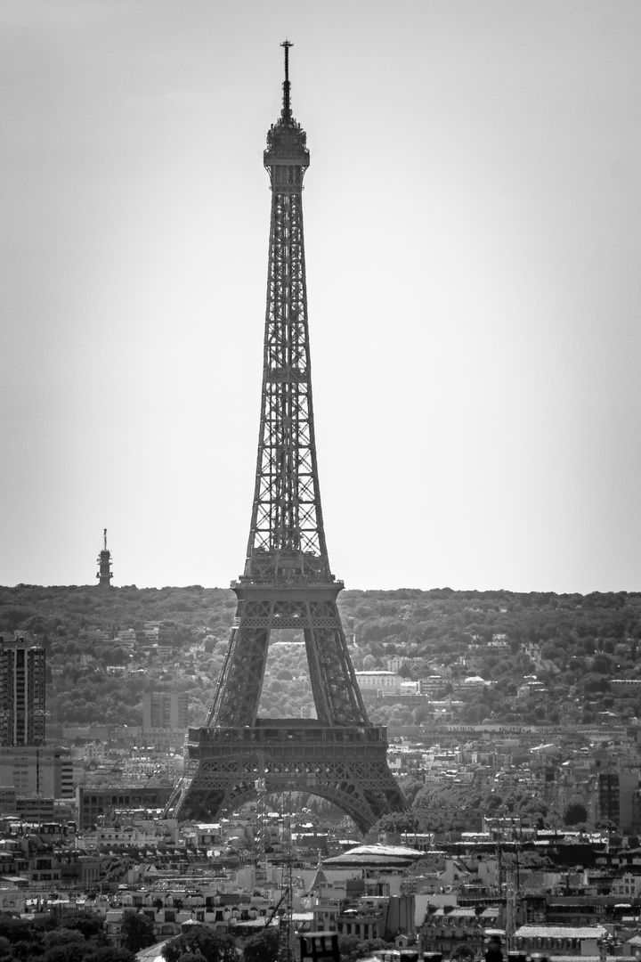 Der Eiffelturm ragt über die Dächer Paris