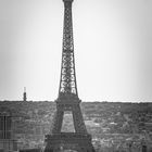 Der Eiffelturm ragt über die Dächer Paris