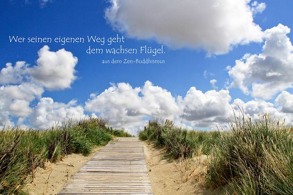 Der eigene Weg...