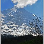 Der Eiger