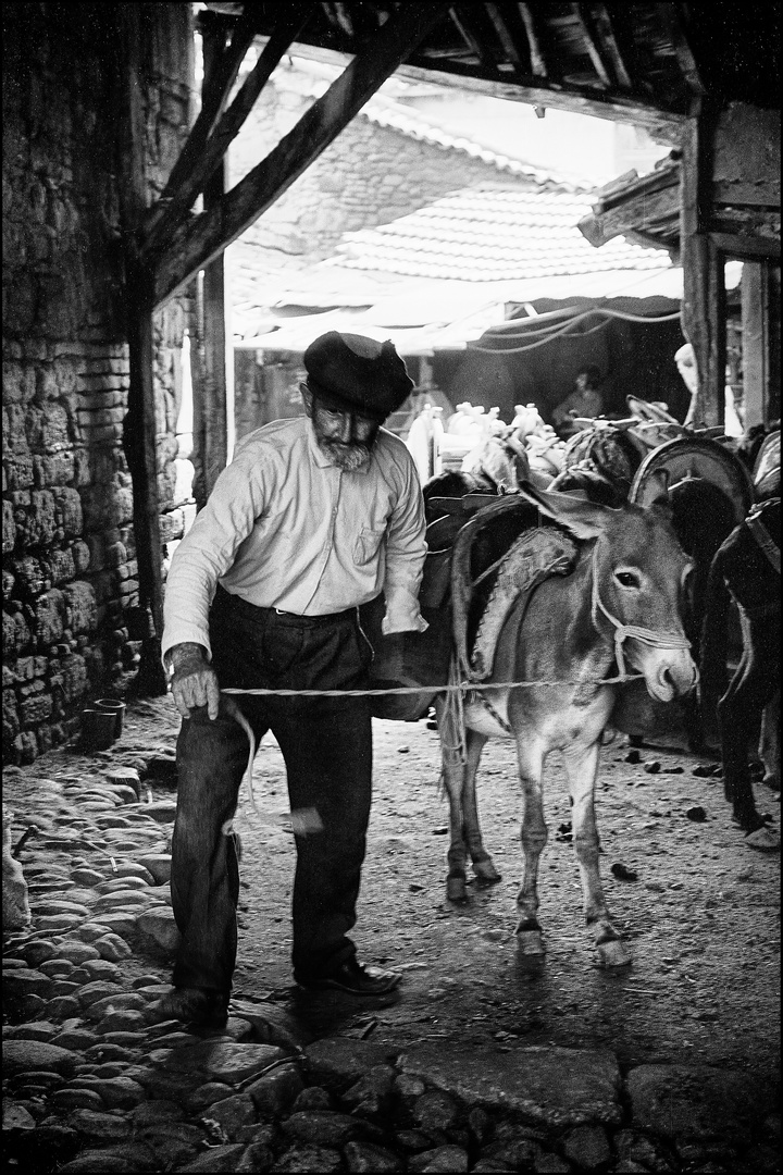 Der Einarrmige mit seinem Esel am Markt von Bergama