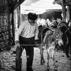 Der Einarrmige mit seinem Esel am Markt von Bergama