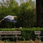 der eine fliegt......der andere telefoniert