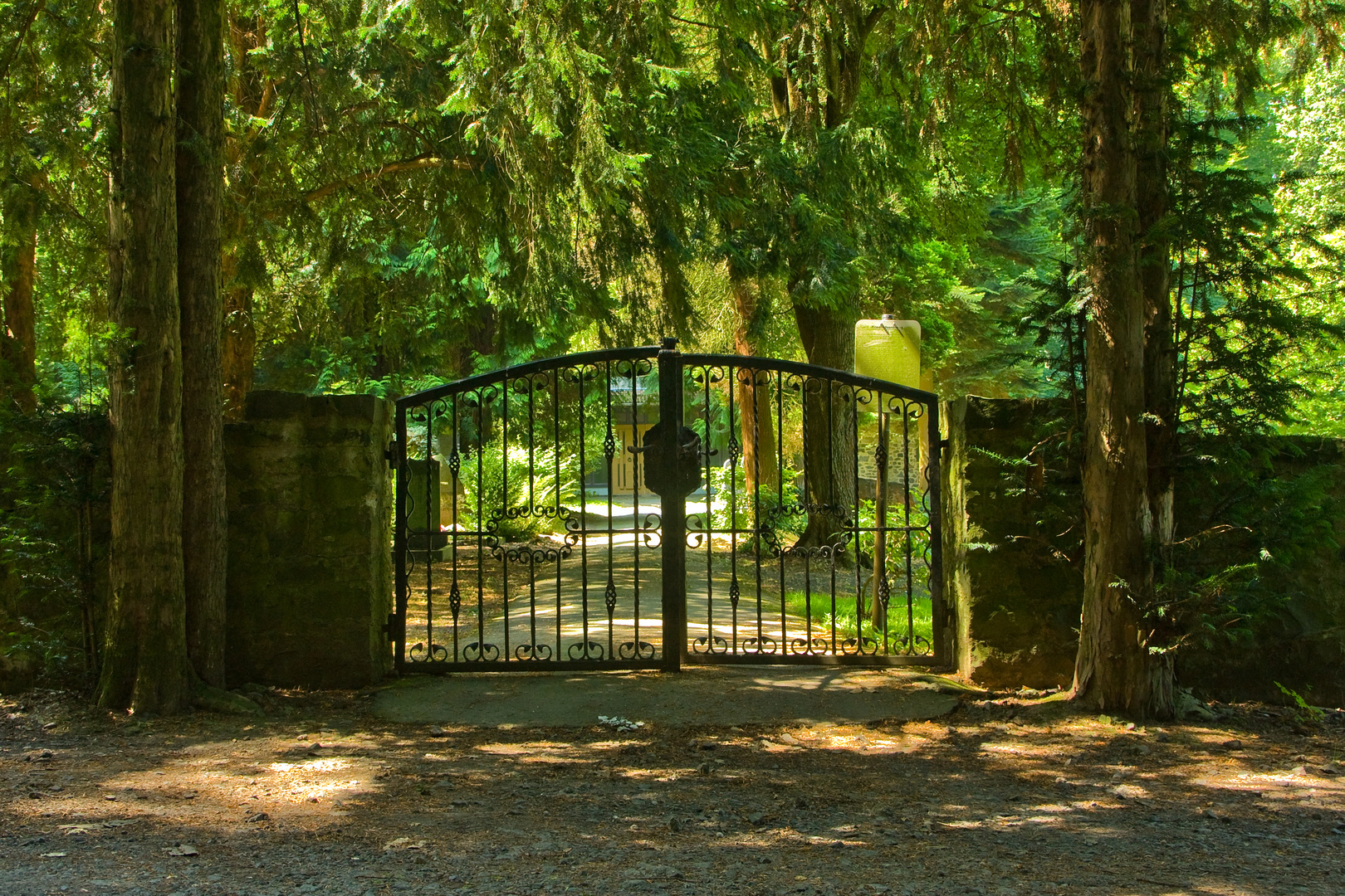 Der Eingang zum Waldfriedhof - rechts und links eine Eibe - der Totenbaum