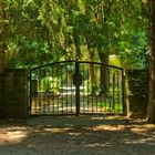 Der Eingang zum Waldfriedhof - rechts und links eine Eibe - der Totenbaum