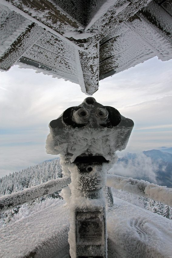 Der eingefrorene Blick