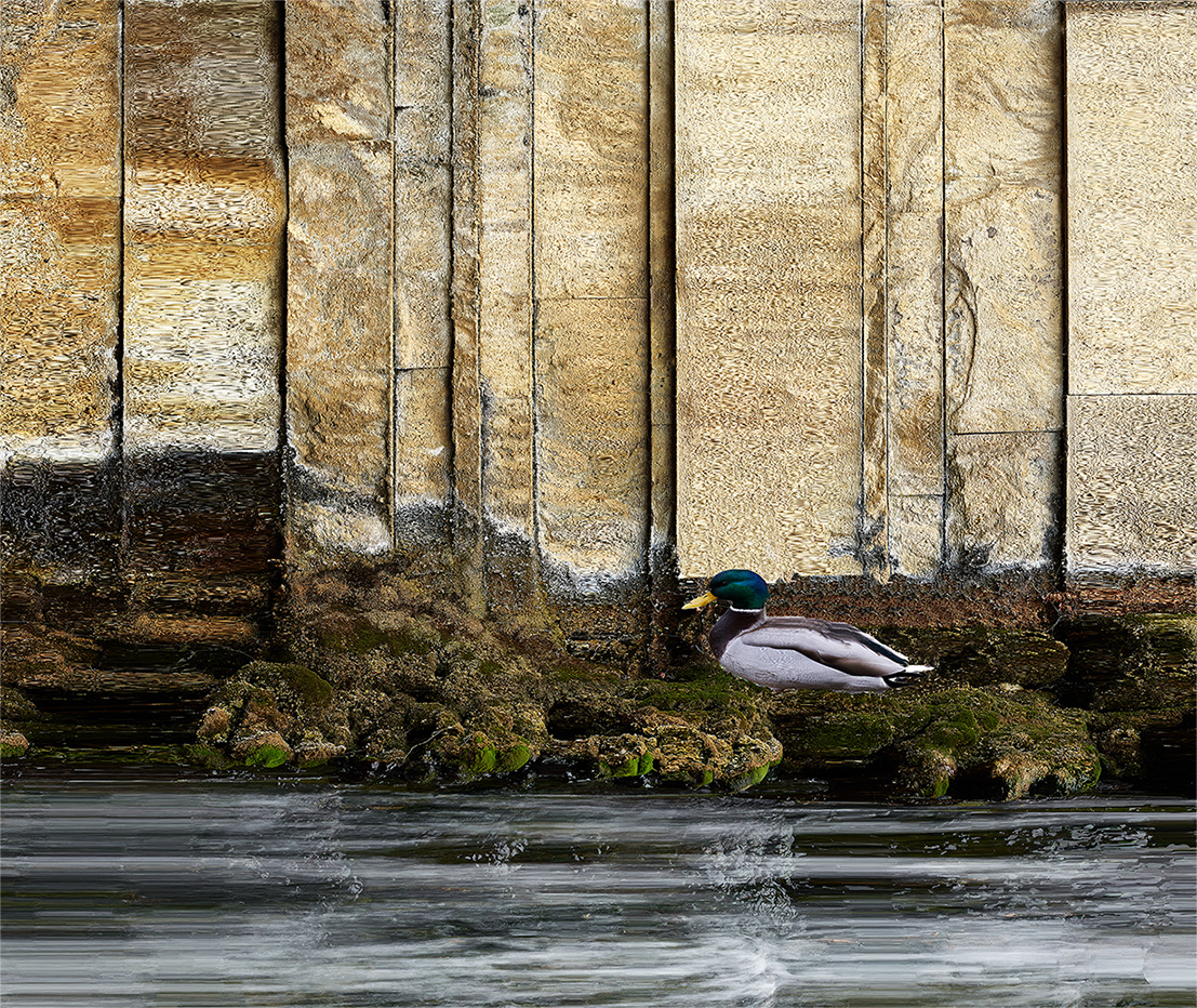 Der eingemauerte Fluss