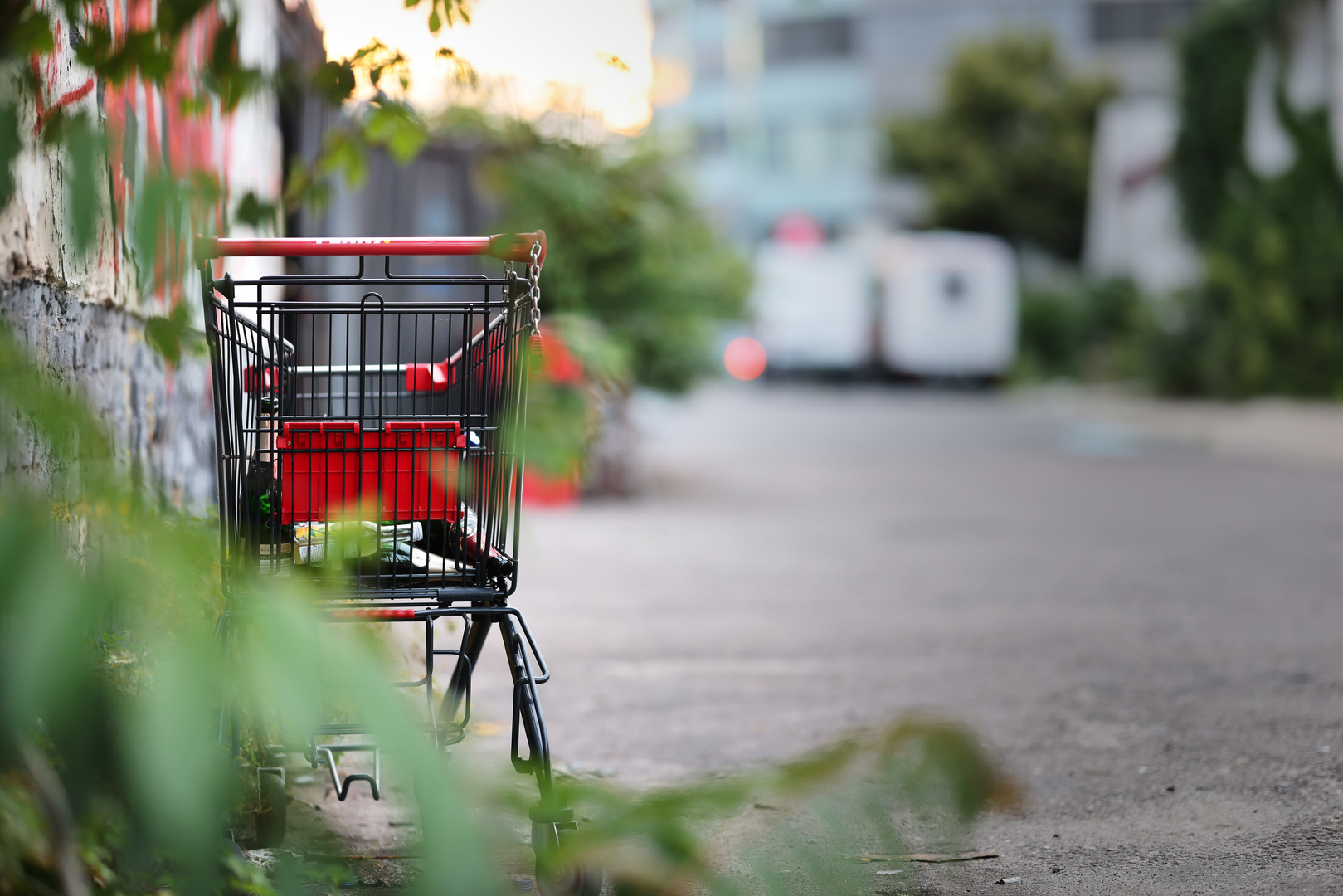 Der Einkaufswagen