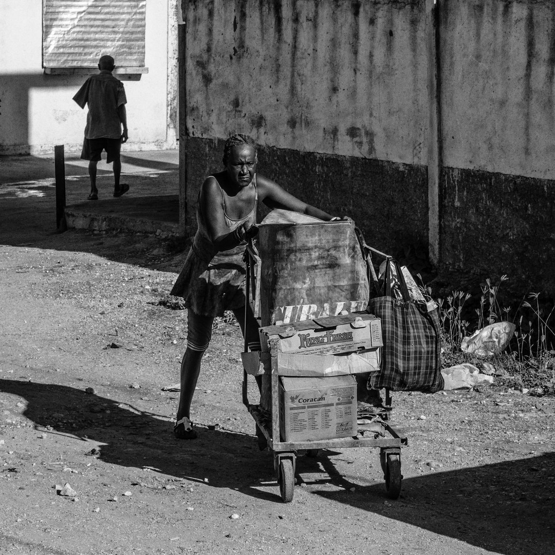 Der Einkaufswagen / The shopping trolley