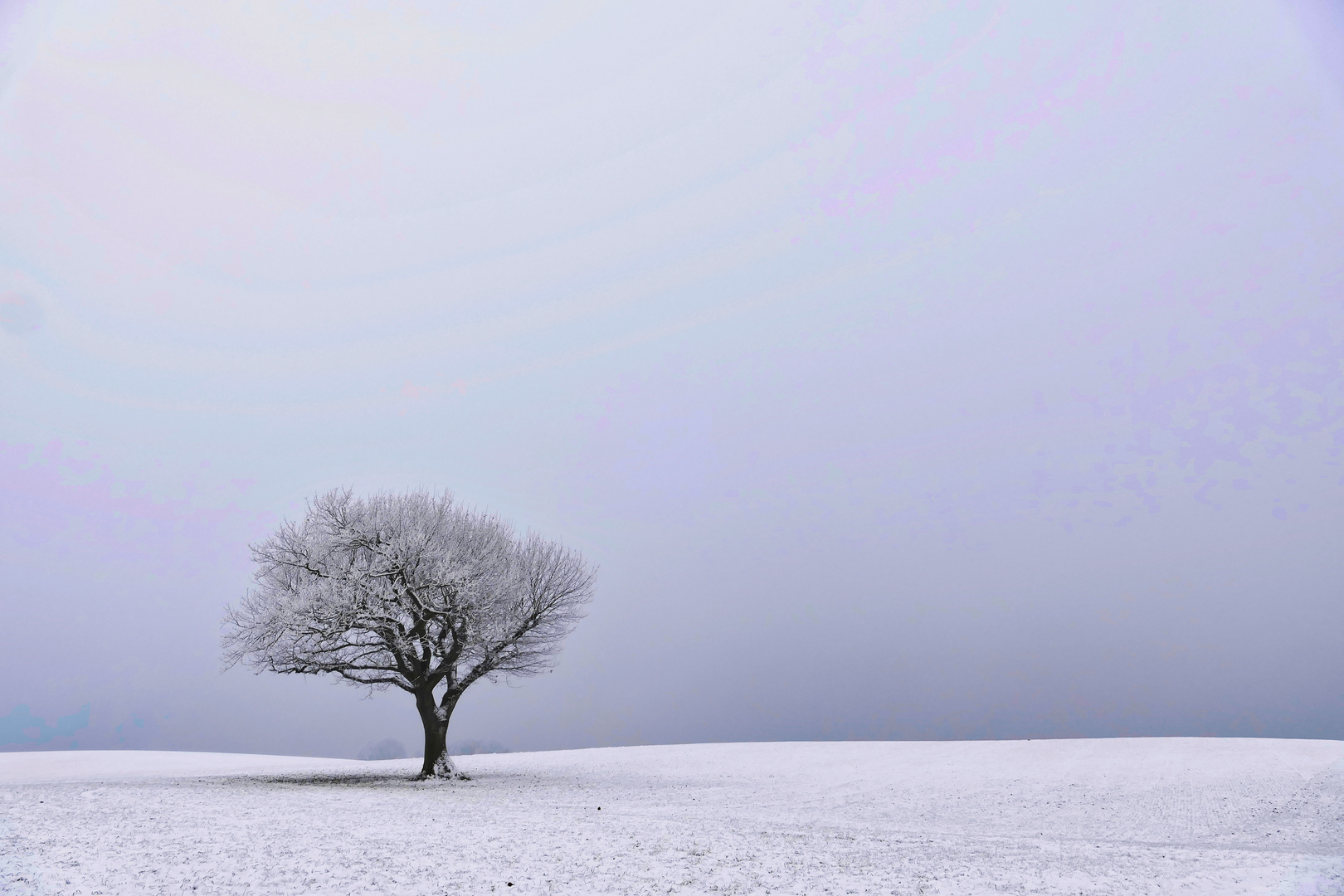 Der einsame Baum