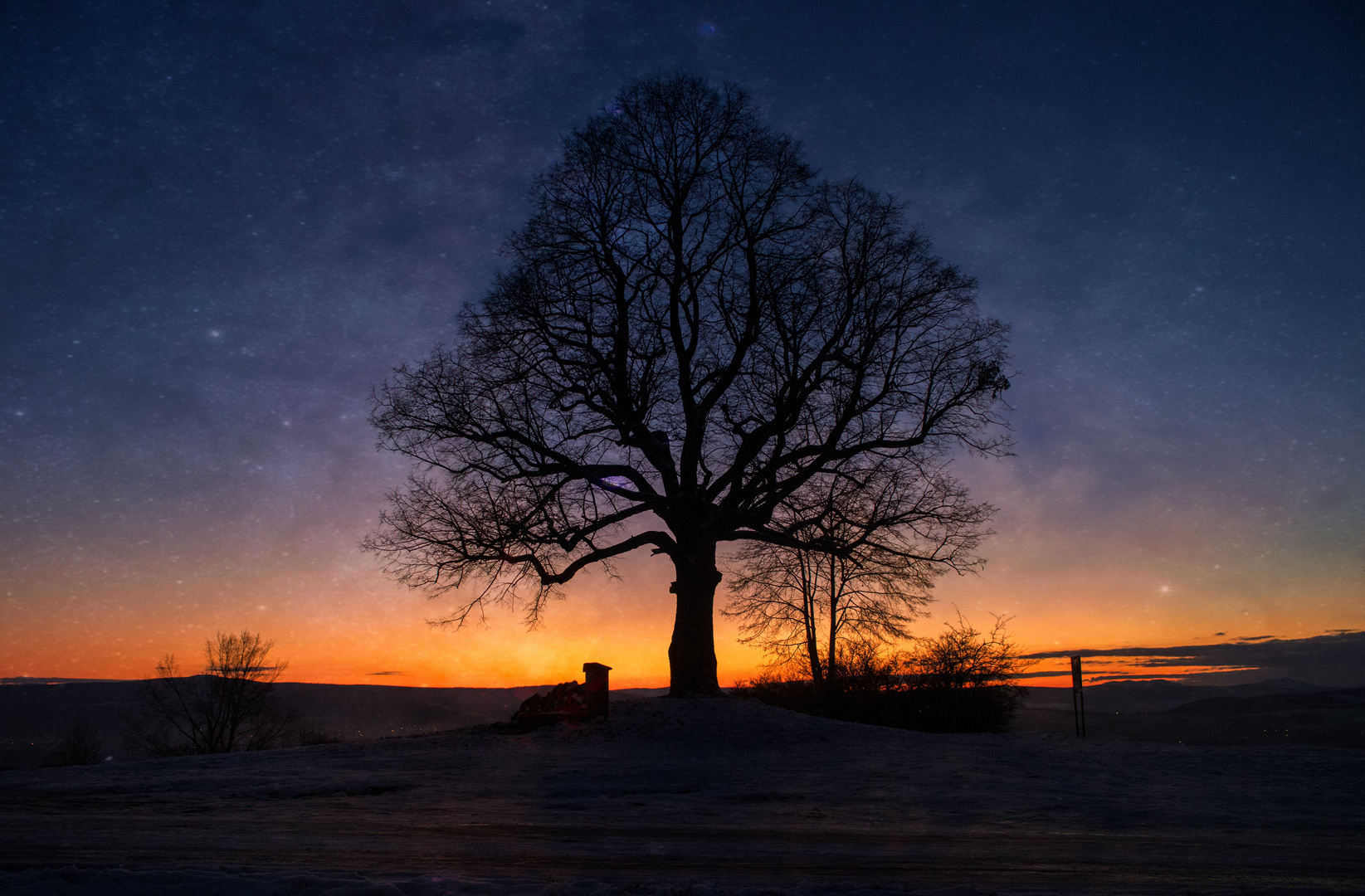 Der einsame Baum 