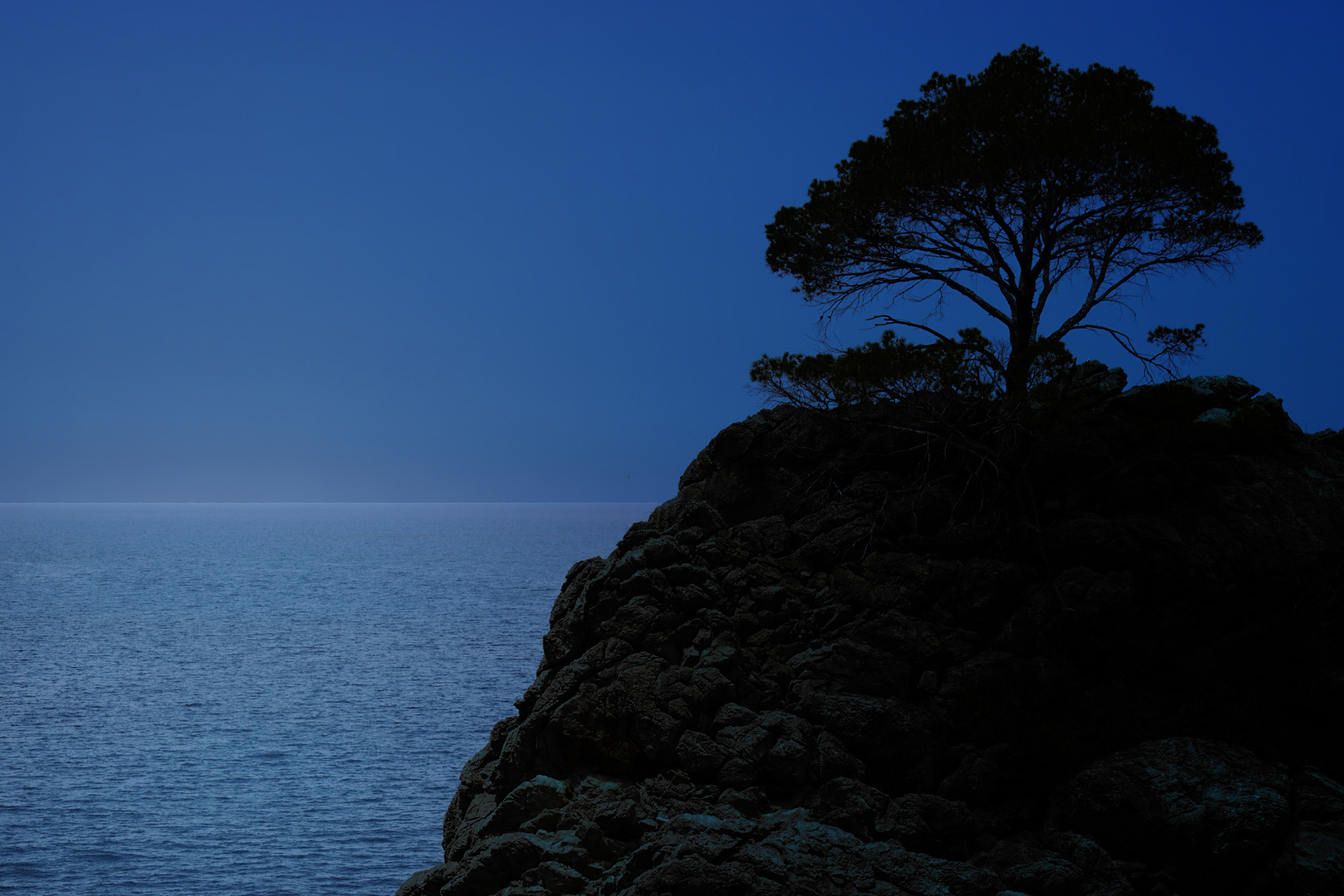 Der einsame Baum am blauen Meer