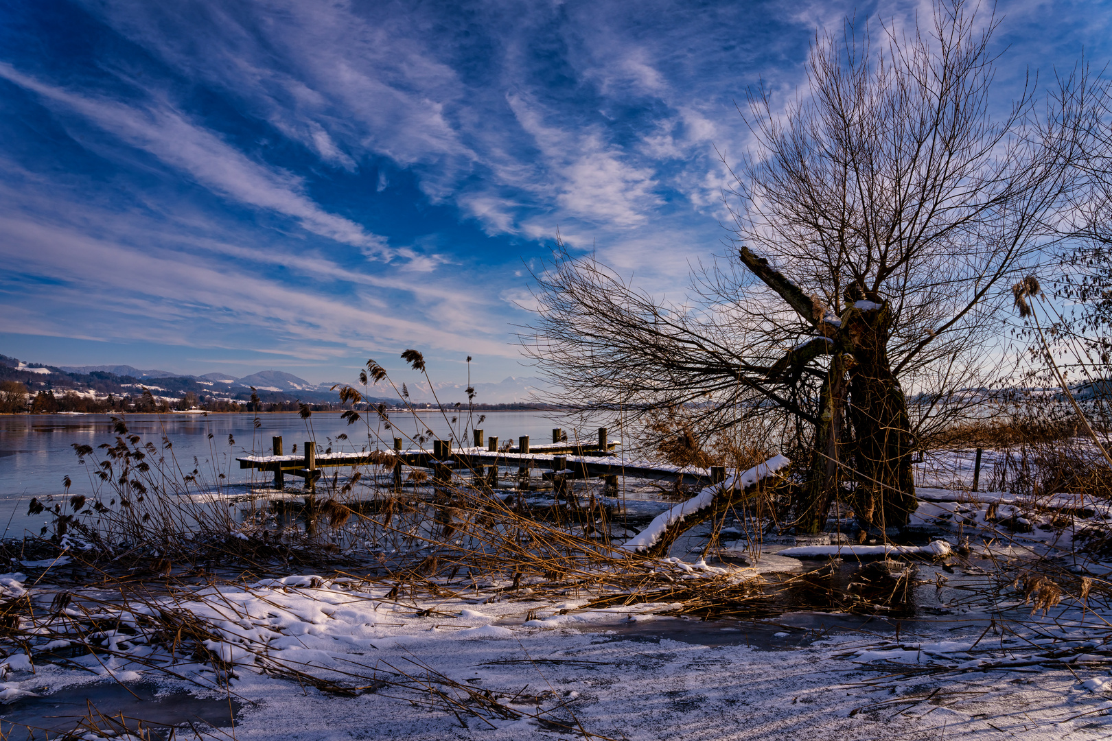 der einsame Baum am Steg