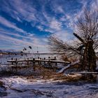 der einsame Baum am Steg