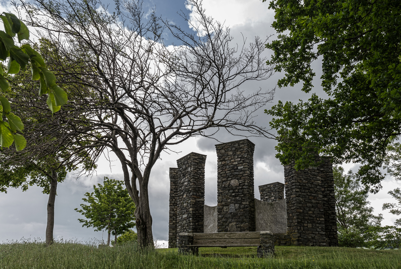 Der Einsame Baum