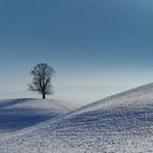 Der einsame Baum