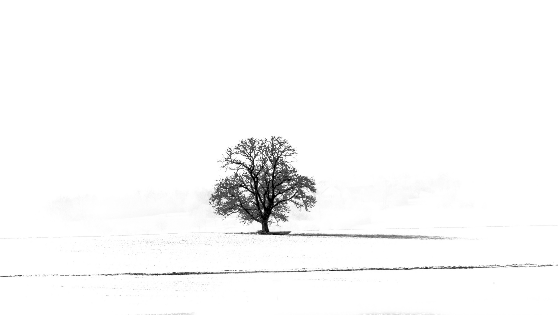 Der einsame Baum - oder hoffentlich das letzte Schneefoto