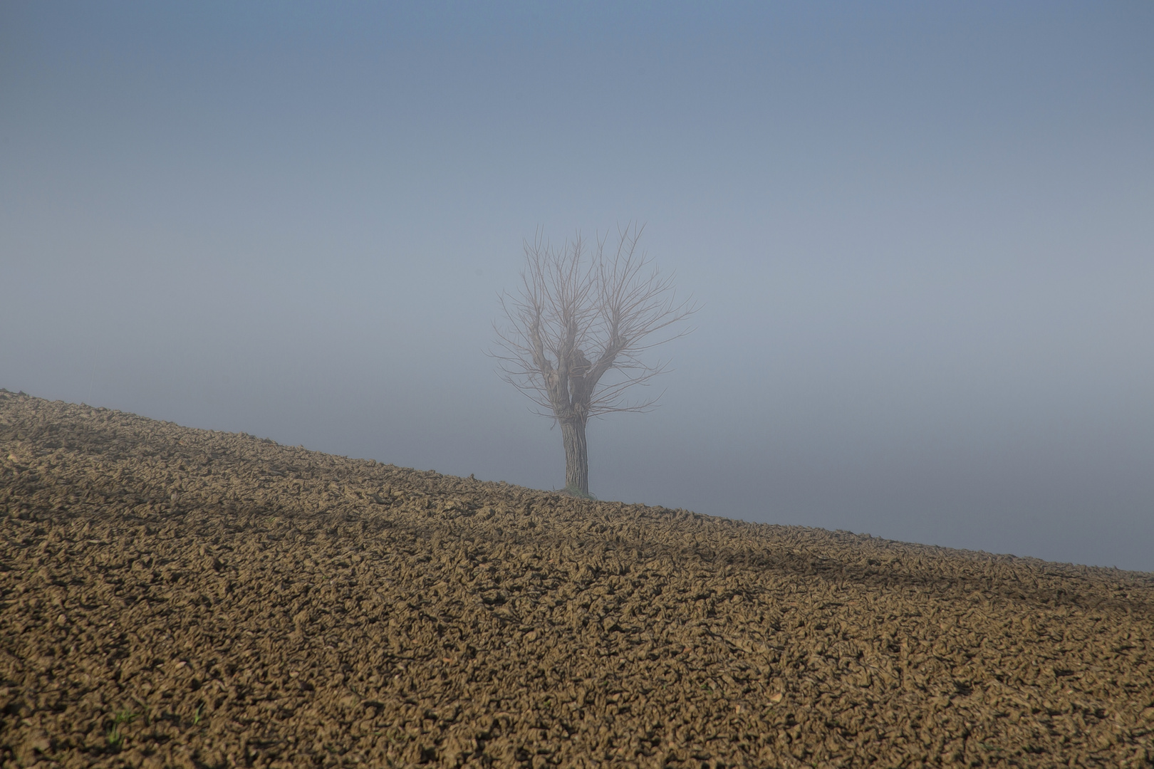 der Einsame im Nebel...