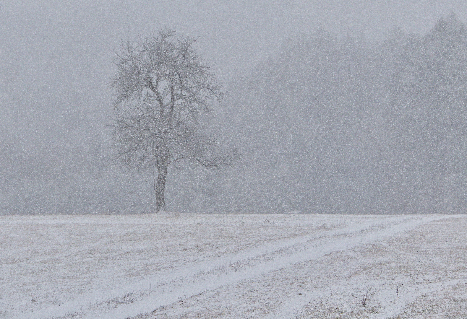 Der Einsame im Schneegestöber