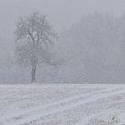 Der Einsame im Schneegestöber