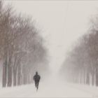 Der einsame Läufer