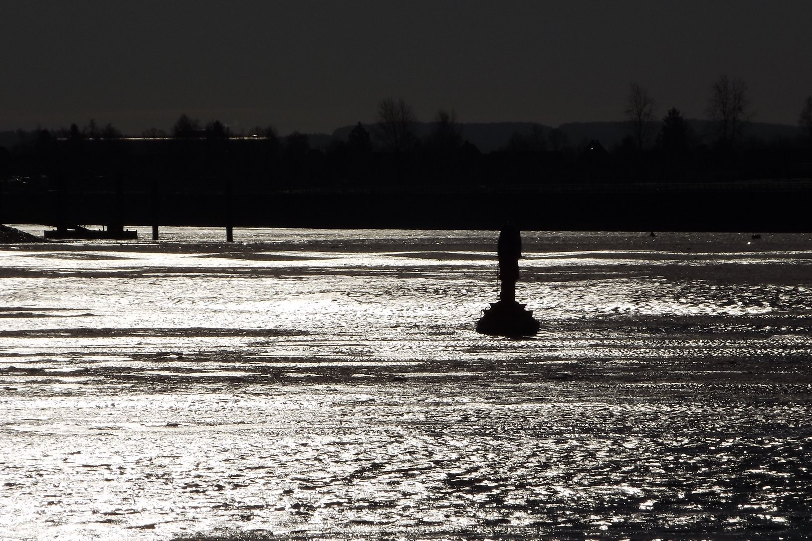 Der einsame Mann in der Elbe